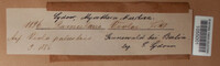 Image Associated With the Occurence